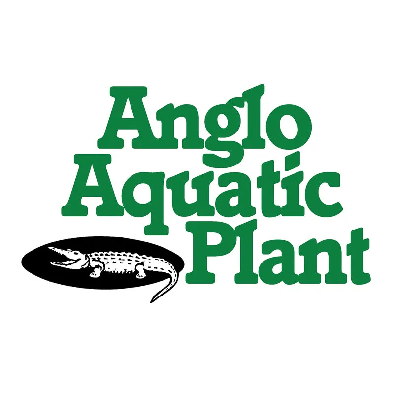 Anglo Aquatics Astilbe Red 1 Litre 3 Pack