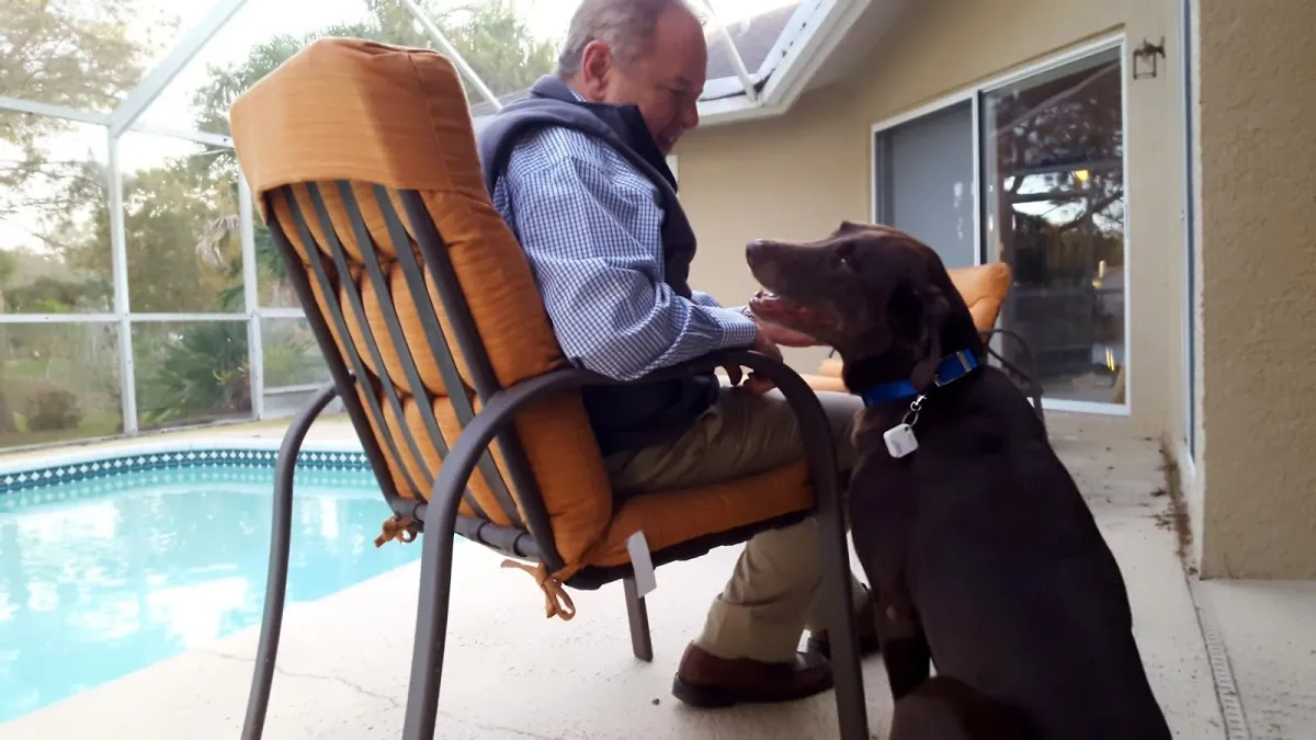 AutoSlide Smart Tag Pet Door Kit
