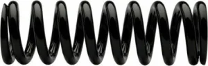 Cane Creek Double Barrel Coil Rear Shock Spring 3.00" - Black - Steel