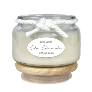 Citrus Lemon   Bergamot 8oz Odor Eliminating Candle