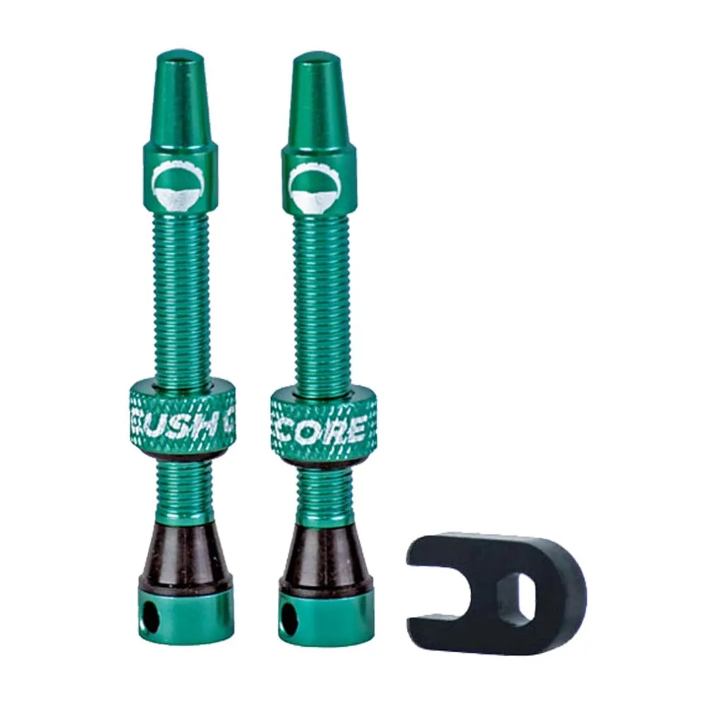 CushCore Valves