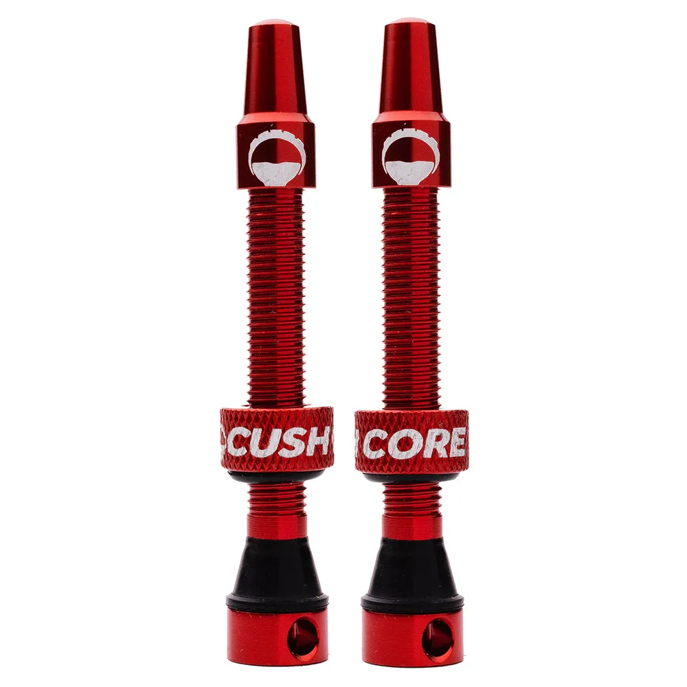 CushCore Valves