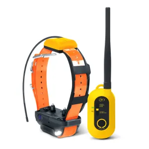 Dogtra Pathfinder 2