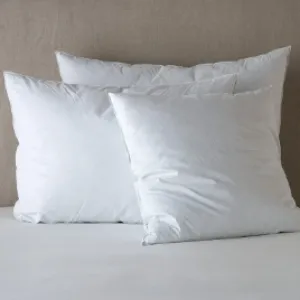 Essential Down Sham Insert - Deluxe