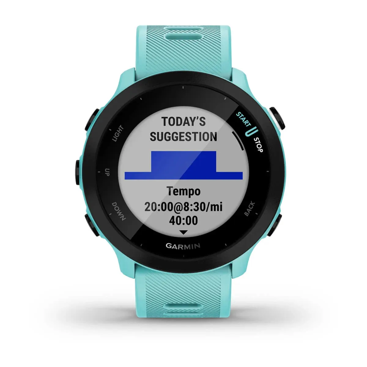 Forerunner 55