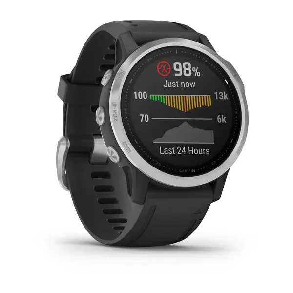 Garmin Fenix 6S Silver with Black Strap