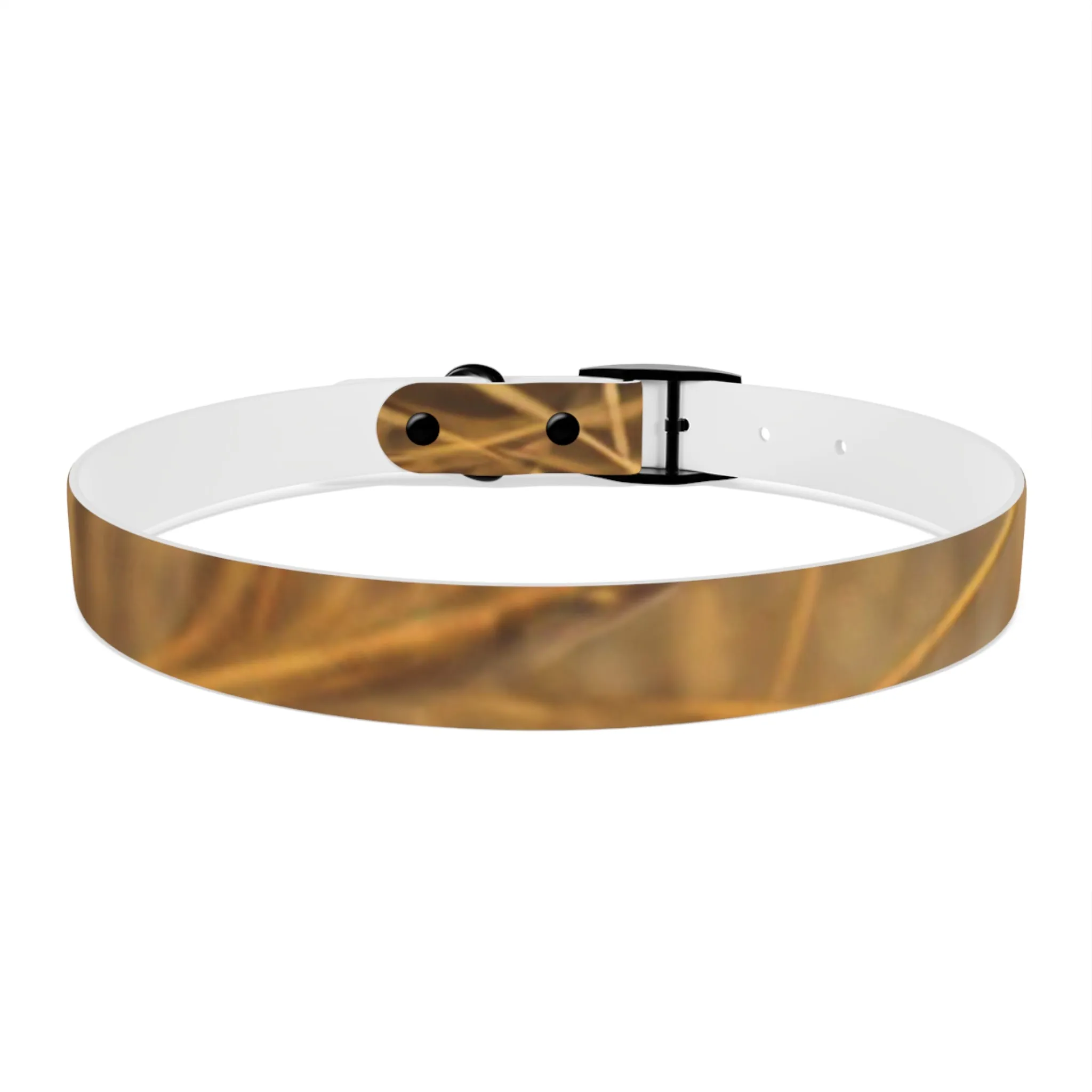 Golden Grass Dog Collar