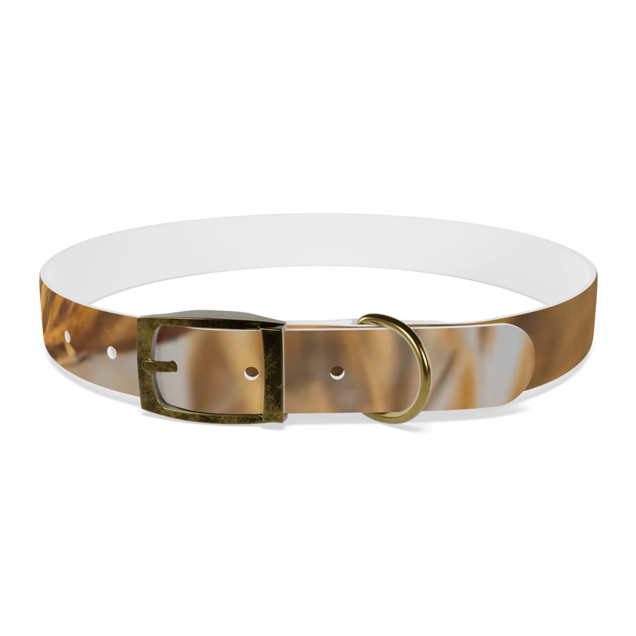 Golden Grass Dog Collar