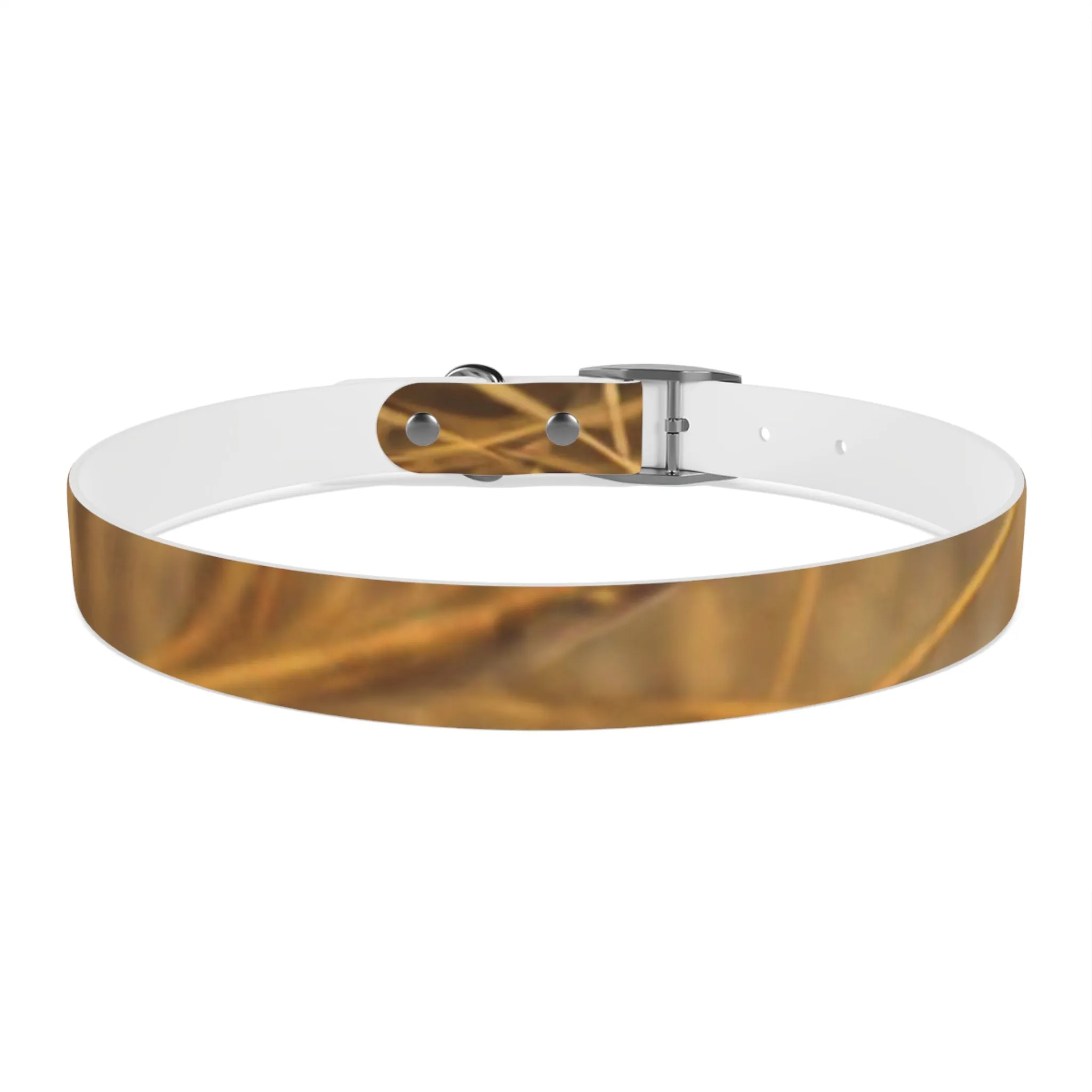 Golden Grass Dog Collar