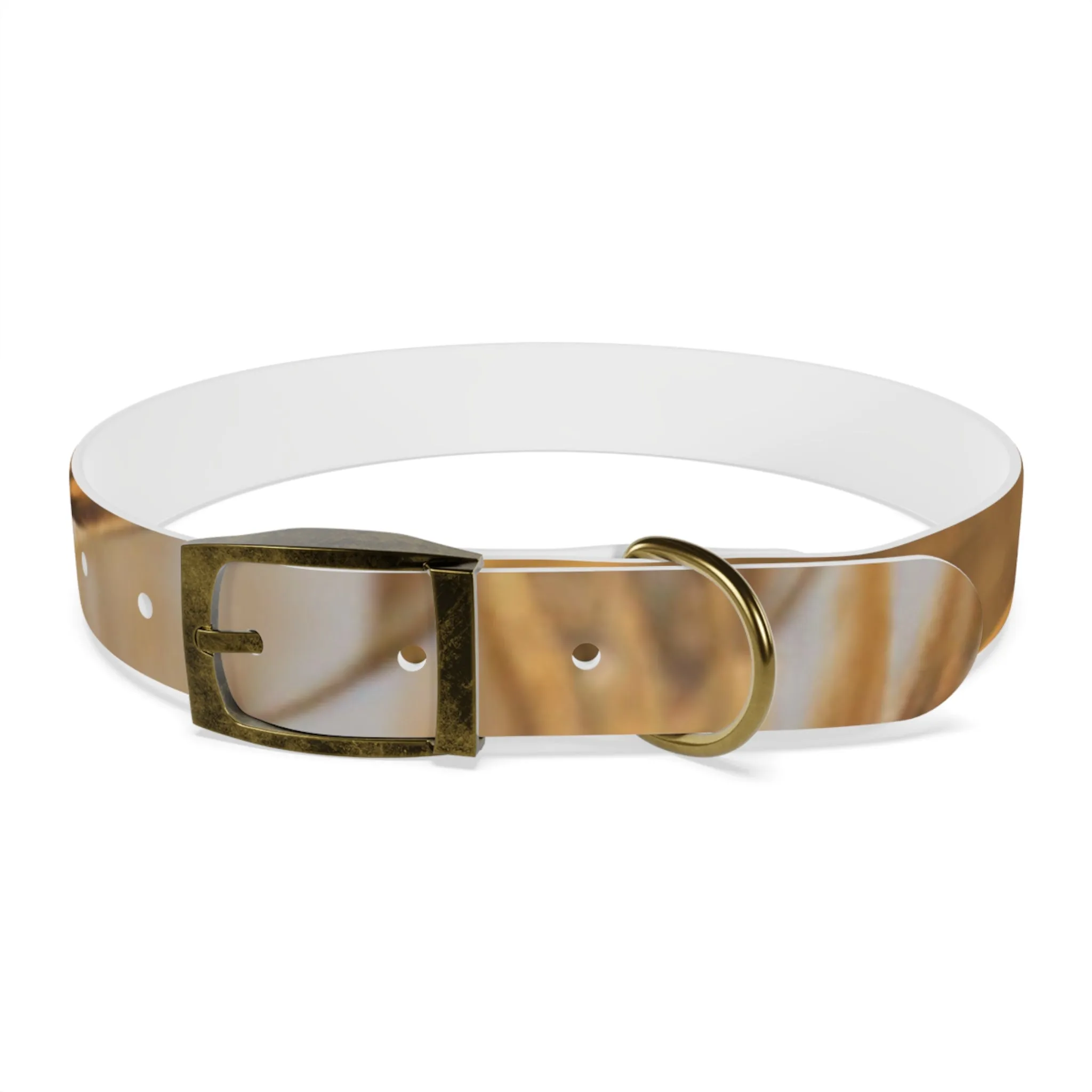Golden Grass Dog Collar