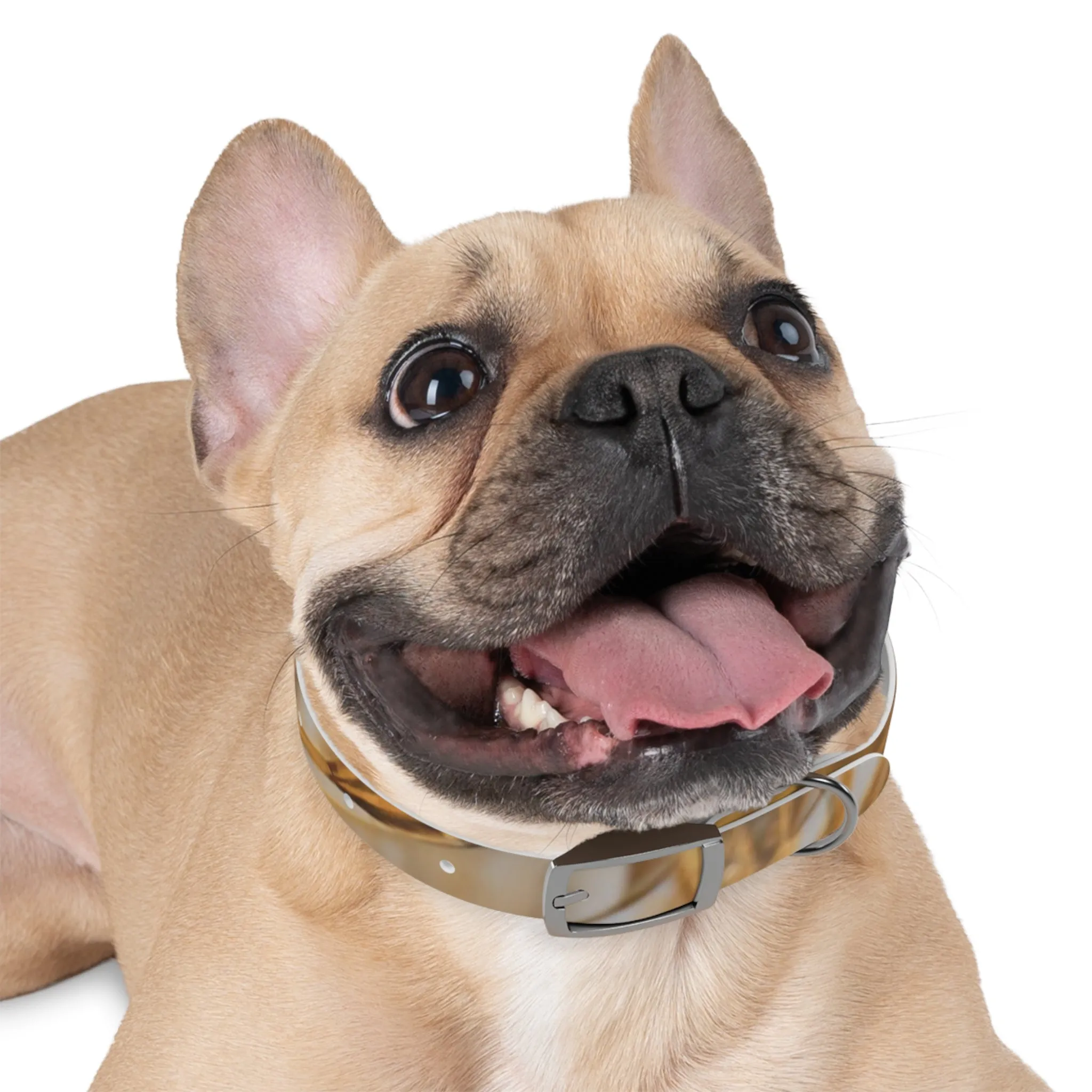 Golden Grass Dog Collar