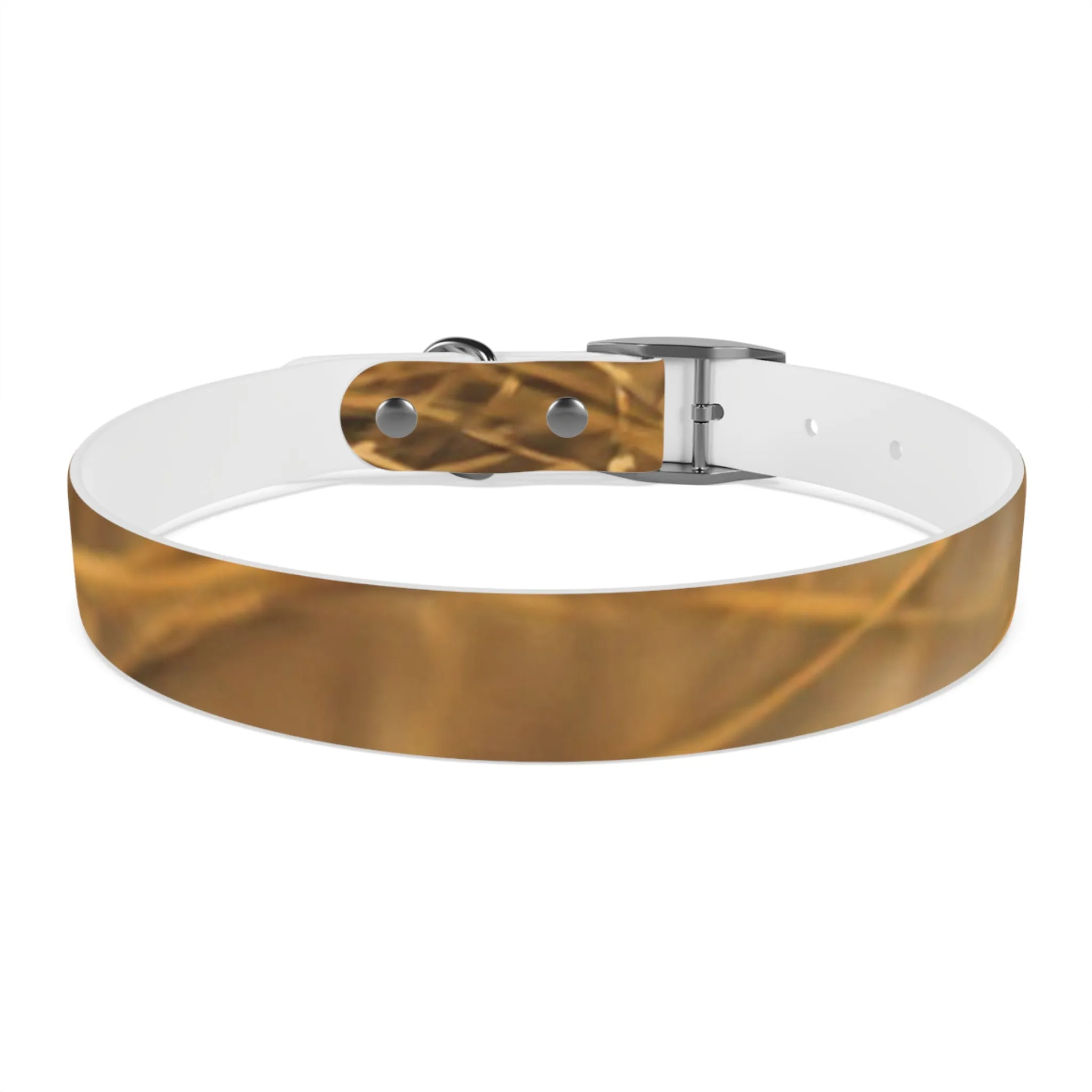 Golden Grass Dog Collar