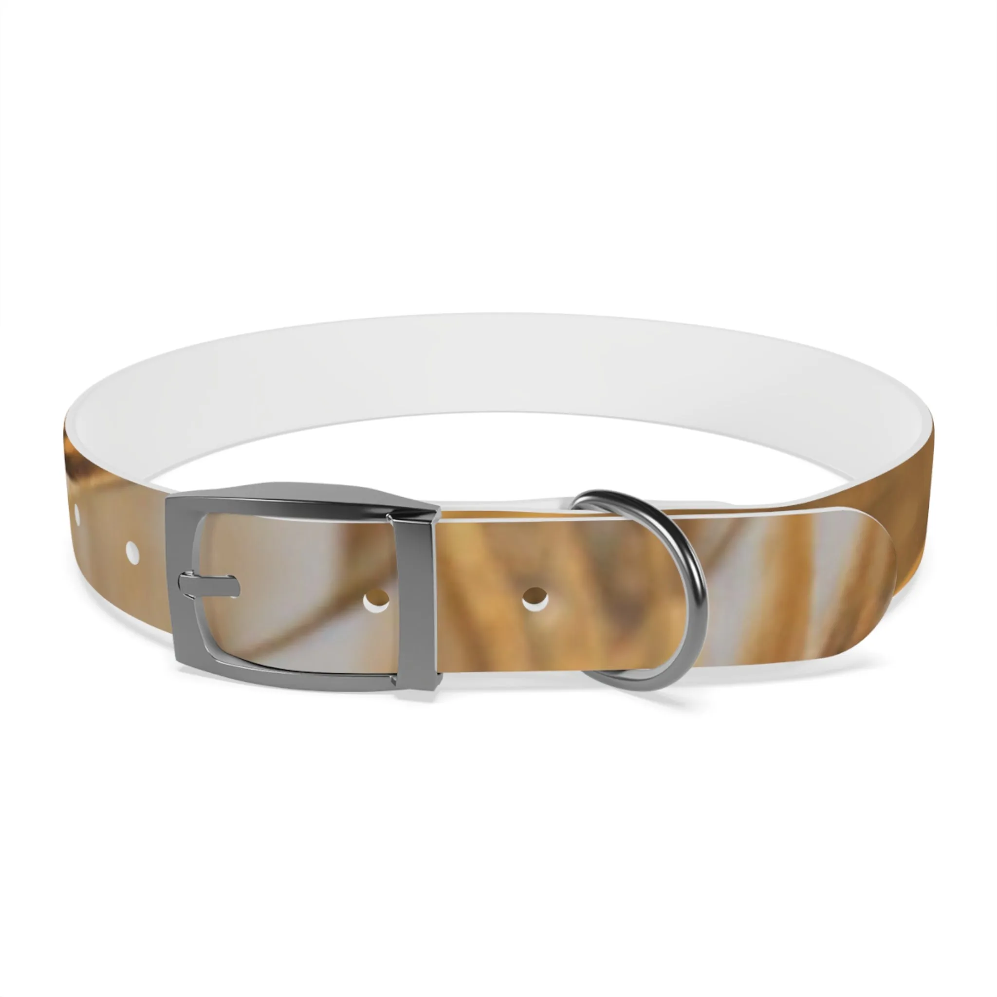 Golden Grass Dog Collar