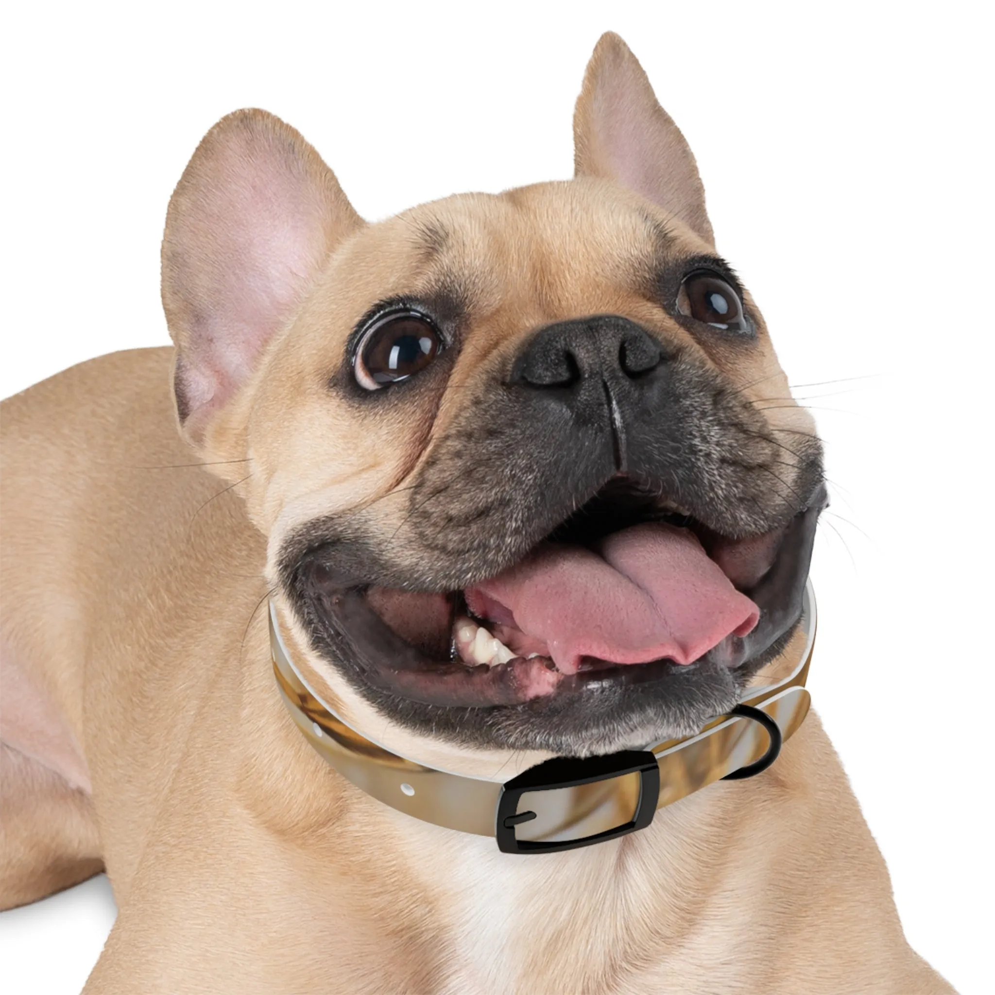 Golden Grass Dog Collar