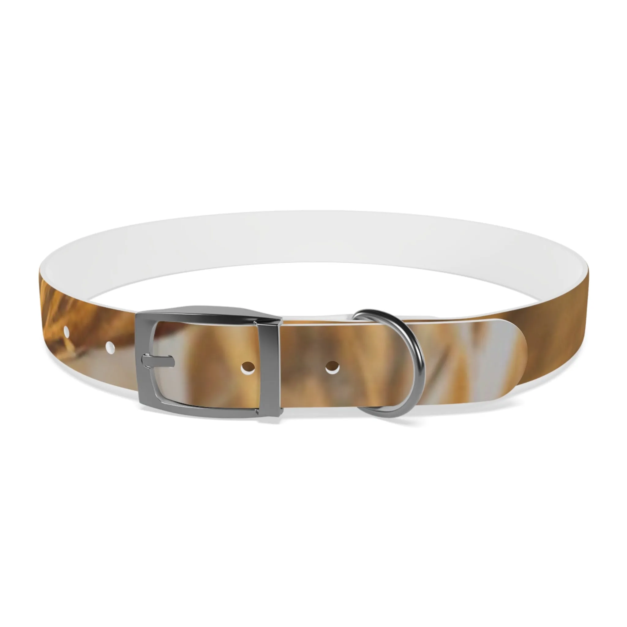 Golden Grass Dog Collar