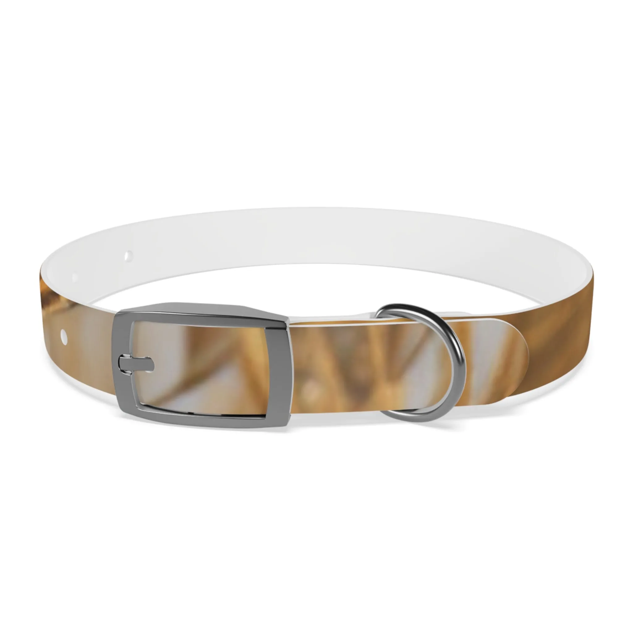 Golden Grass Dog Collar