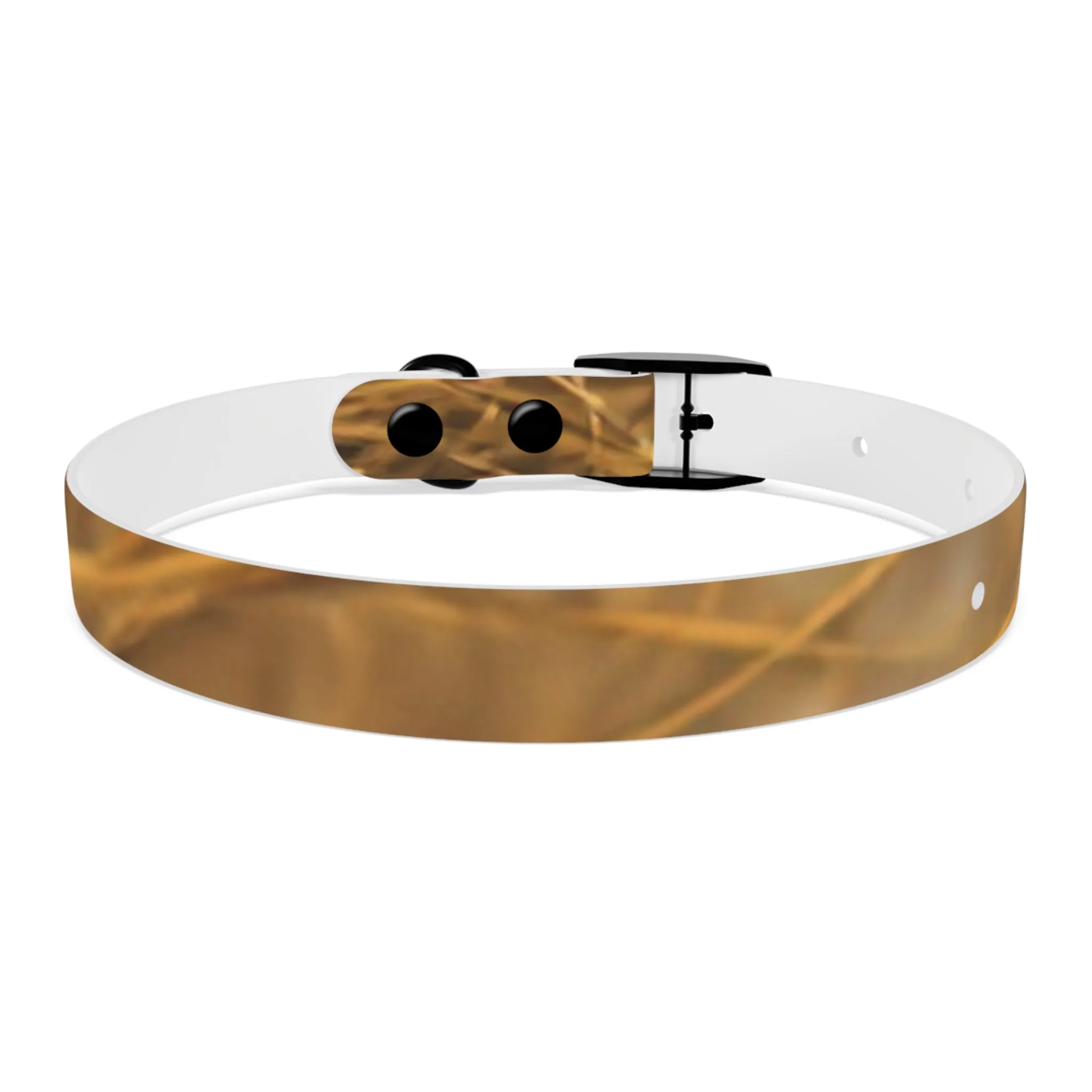 Golden Grass Dog Collar