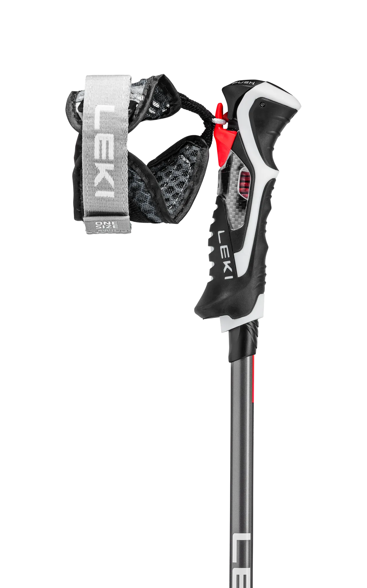 Leki Carbon 14 3D 2024