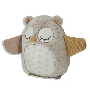 Nighty Night Owl Smart Sensor