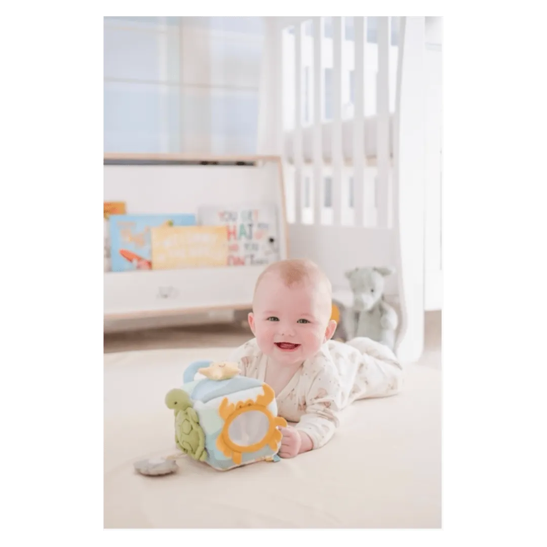 Ocean Organic Activity Cube