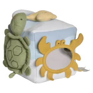 Ocean Organic Activity Cube