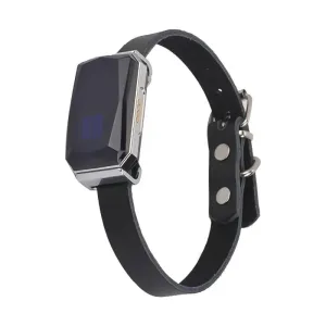 Pet Locator Waterproof GPS  Smart Location Collar For Cats And Dogs