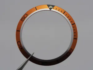 Planet Ocean bezel insert size L