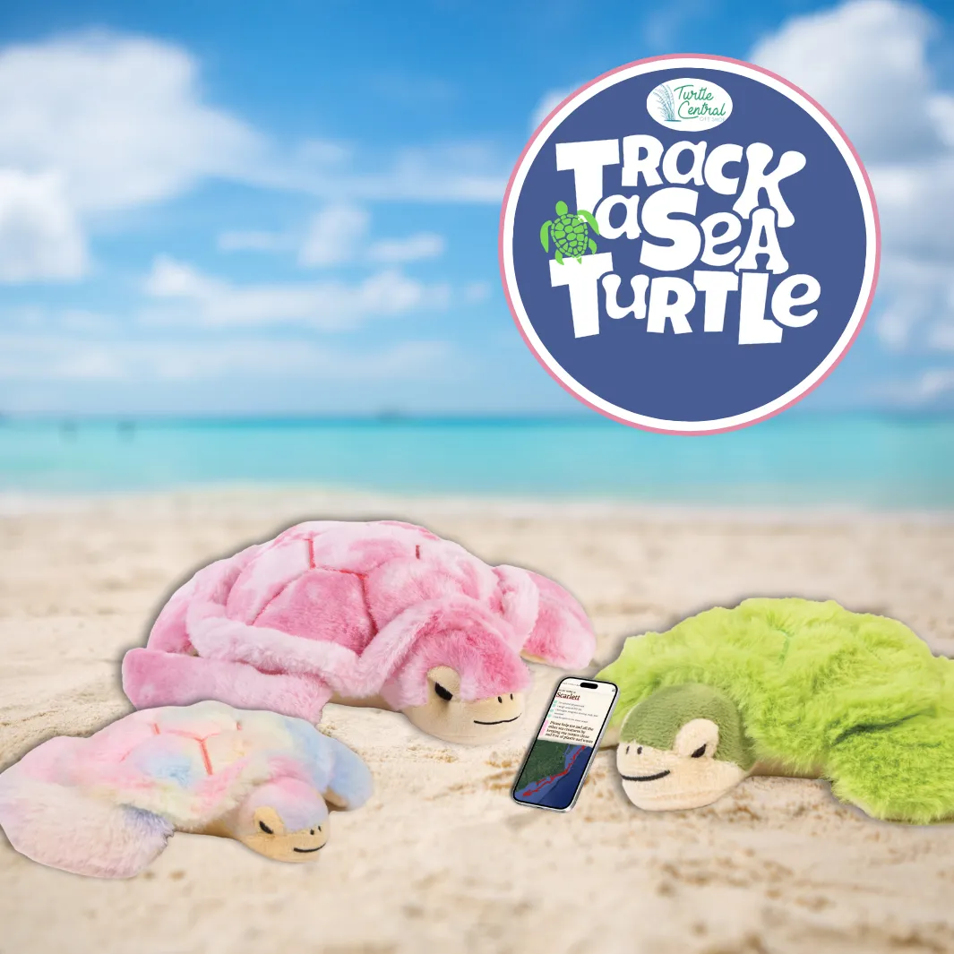 Sea Turtle Tracking Plush by Simply Southern