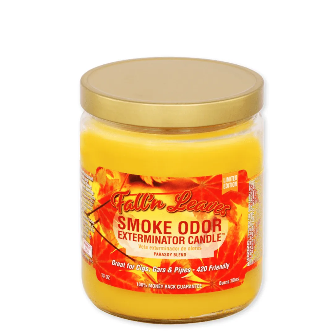 Smoke Odor 13oz. Candle-Fall'n Leaves