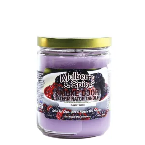 Smoke Odor 13oz. Candle-Mulberry & Spice