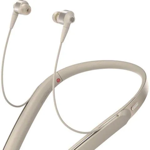 Sony Wireless Noise-Canceling Headphones