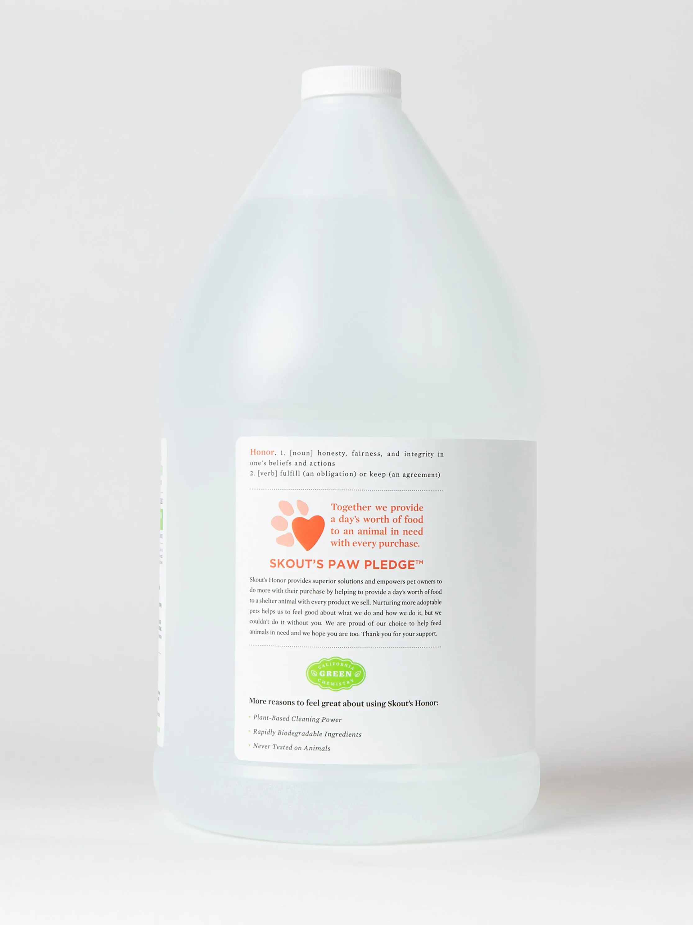 Stain & Odor Remover