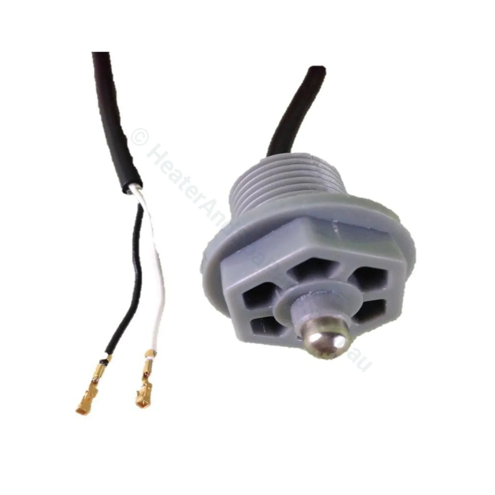 Sundance Spas In-pool Temperature Sensor