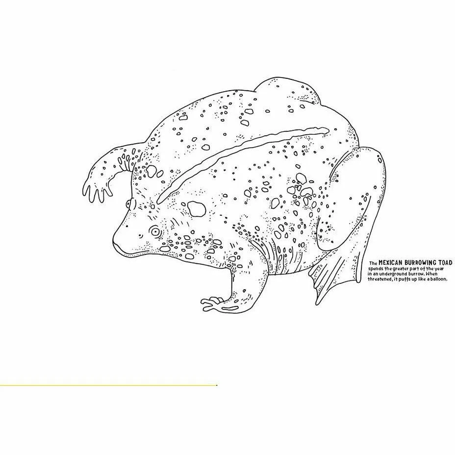 Under Earth Activity Book (Activity Books)