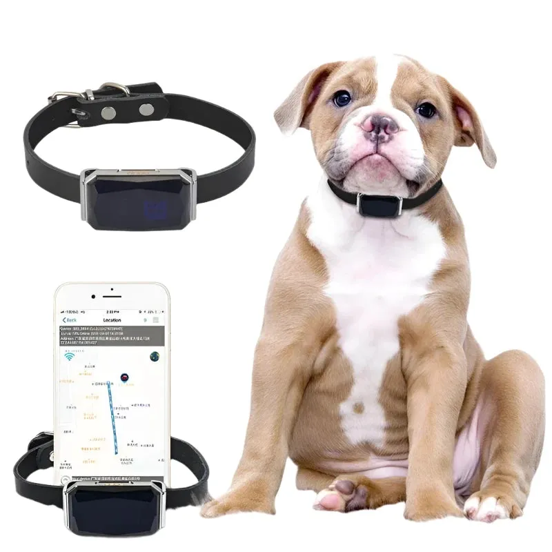 Waterproof GPS Tracker Collar for Pets and Kids