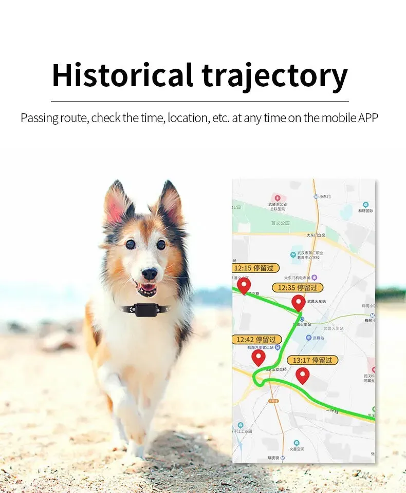 Waterproof Pet GPS Tracker